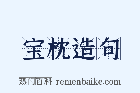 宝枕造句是什么意思的图片